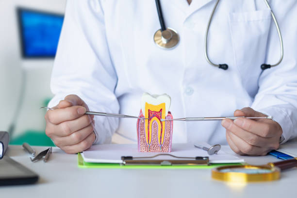 Best Emergency Dental Care for Broken or Chipped Teeth in White Horse, NJ